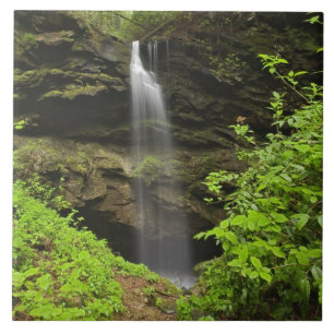 Waterval valt in de gootsteen, Whiteoak Sink, Tegeltje
