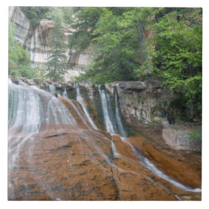 Waterval, Zion National Park, Utah, USA Tegeltje