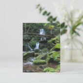 Watervalcascade in de natuur van het landschap in  briefkaart (Staand voorkant)