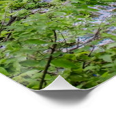 Watervalcascade in het park Plitvice Perfect Poster (Hoek)