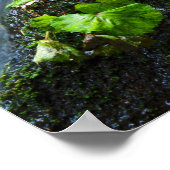 Watervalgroene steen poster (Hoek)