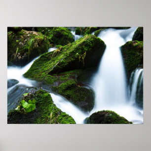 Watervalgroene steen poster