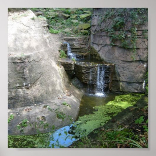 WatervalPoster Poster (Voorkant)