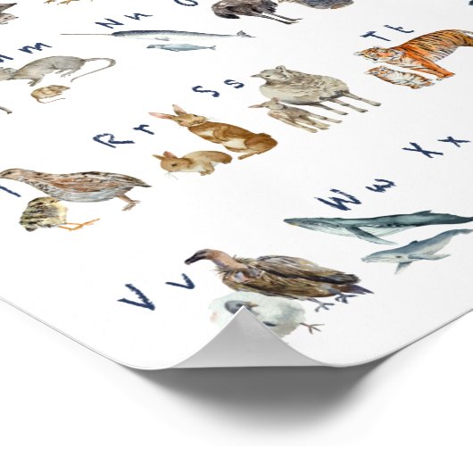 Waterverf Abc Dieren Poster (Hoek)