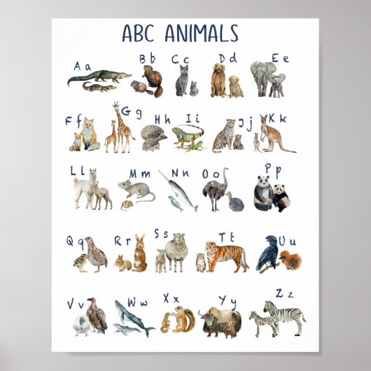 Waterverf Abc Dieren Poster (Voorkant)