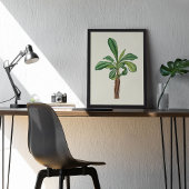 Waterverf Antiek Botanische Cactus Print Poster