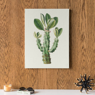 Waterverf Antiek Botanische Cactus Print Poster