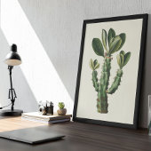 Waterverf Antiek Botanische Cactus Print Poster