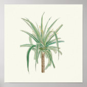 Waterverf Antiek Poster voor botanische afdrukken (Voorkant)