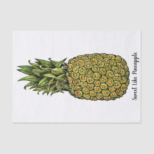Waterverf Art Cute Pineappel Tissuepapier (Voorkant)