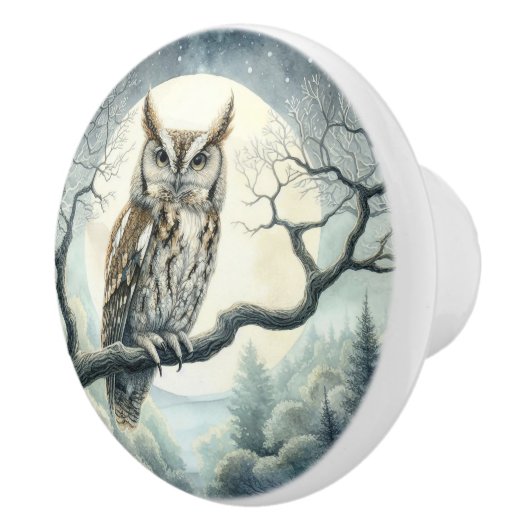 Waterverf Art Screech Uil Keramische Knop (Rechts)