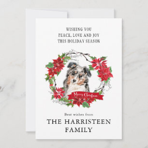 Waterverf Australian Shepherd Poinsettia Wreath Feestdagenkaart