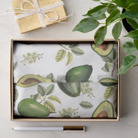 Waterverf Avocado Botanische Patroon Tissuepapier (Geschenk)