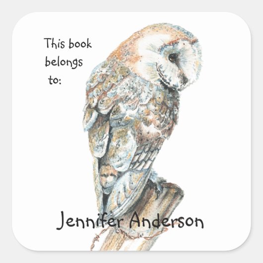 Waterverf Barn Owl Bird art Custom Bookplate Vierkante Sticker (Voorkant)