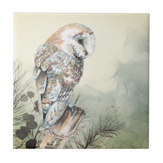 Waterverf Barn Owl Bird Art Tile Tegeltje (Voorkant)