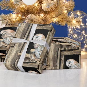 Waterverf Barn Owl in Window Bird Natuur Art Cadeaupapier