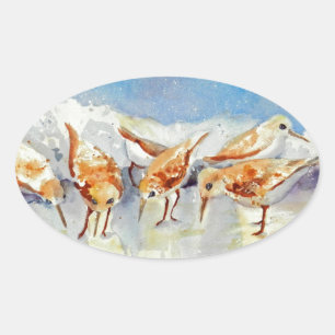 Waterverf Beach Birds Sandpipers Ovale Sticker