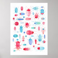 Waterverf Beetle