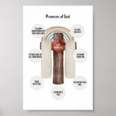 Waterverf beloften van God poster (Voorkant)