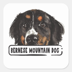 Waterverf Bernese Mountain Dog Square Sticker