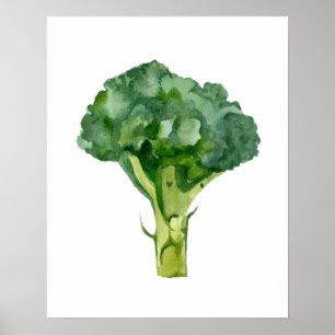 Waterverf biologische radijs poster