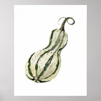 Waterverf Biologische Squash
