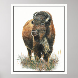 Waterverf Bison Buffalo Dierlijke Natuur Poster