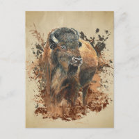 Waterverf Bizon Buffel Dier Wilde Natuur Wo