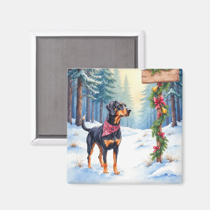 Waterverf Black and Tan Coonhound Bospad Magneet