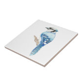 Waterverf Blauw Jay Vogelkunst Tegeltje (Zijkant)