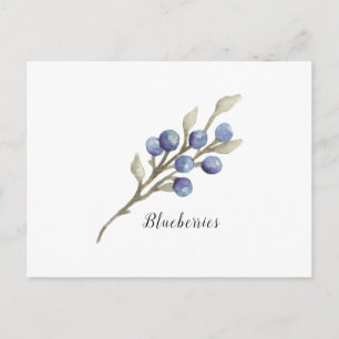 Waterverf Blauwbessen botanisch Briefkaart