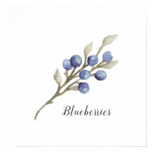 Waterverf Blauwbessen botanisch