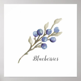 Waterverf Blauwbessen botanisch Poster