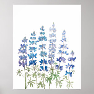 waterverf blauwe en paarse lupine bloemen poster