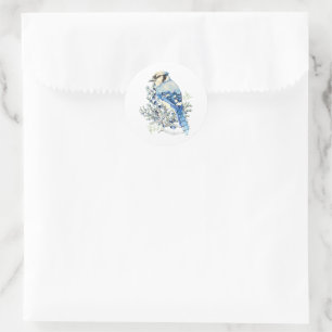 Waterverf Blauwe Gaai Vogel Blauwe Bosbessen Lande Ronde Sticker