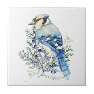 Waterverf Blauwe Gaai Vogel Blauwe Bosbessen Lande Tegeltje