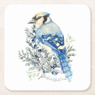 Waterverf Blauwe Gaai Vogel Blauwe Bosbessen Lande Vierkante Kartonnen Onderzetter