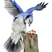 Waterverf blauwe jay canvas afdruk