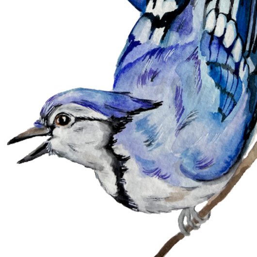 Waterverf blauwe jay draagtas