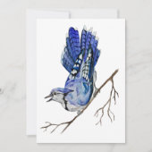 Waterverf blauwe jay kaart (Voorkant)