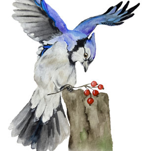 Waterverf blauwe jay keramisch ornament