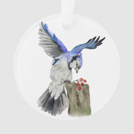 Waterverf blauwe jay ornament