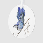 Waterverf blauwe jay ornament (voorkant)