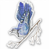 Waterverf blauwe jay sticker (Voorkant)