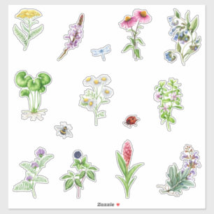 Waterverf bloeiende kruiden Planten Sticker