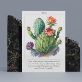 Waterverf Blooming Cactus Poster Wanddecor