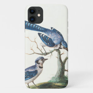 Waterverf Blue Jay Birds Art iPhone 11 Hoesje