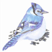 Waterverf Blue Jay Garden Bird Natuur Art Sticker (Voorkant)