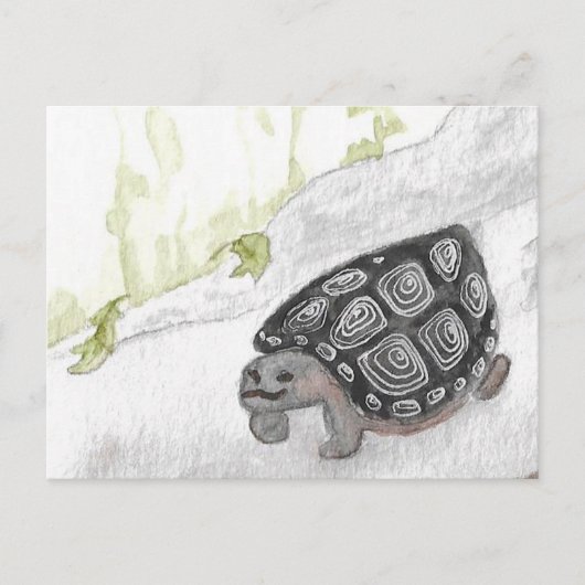 Waterverf bosschildpad briefkaart (Voorkant)