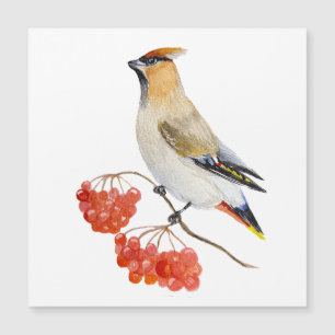 Waterverf bosvogel
